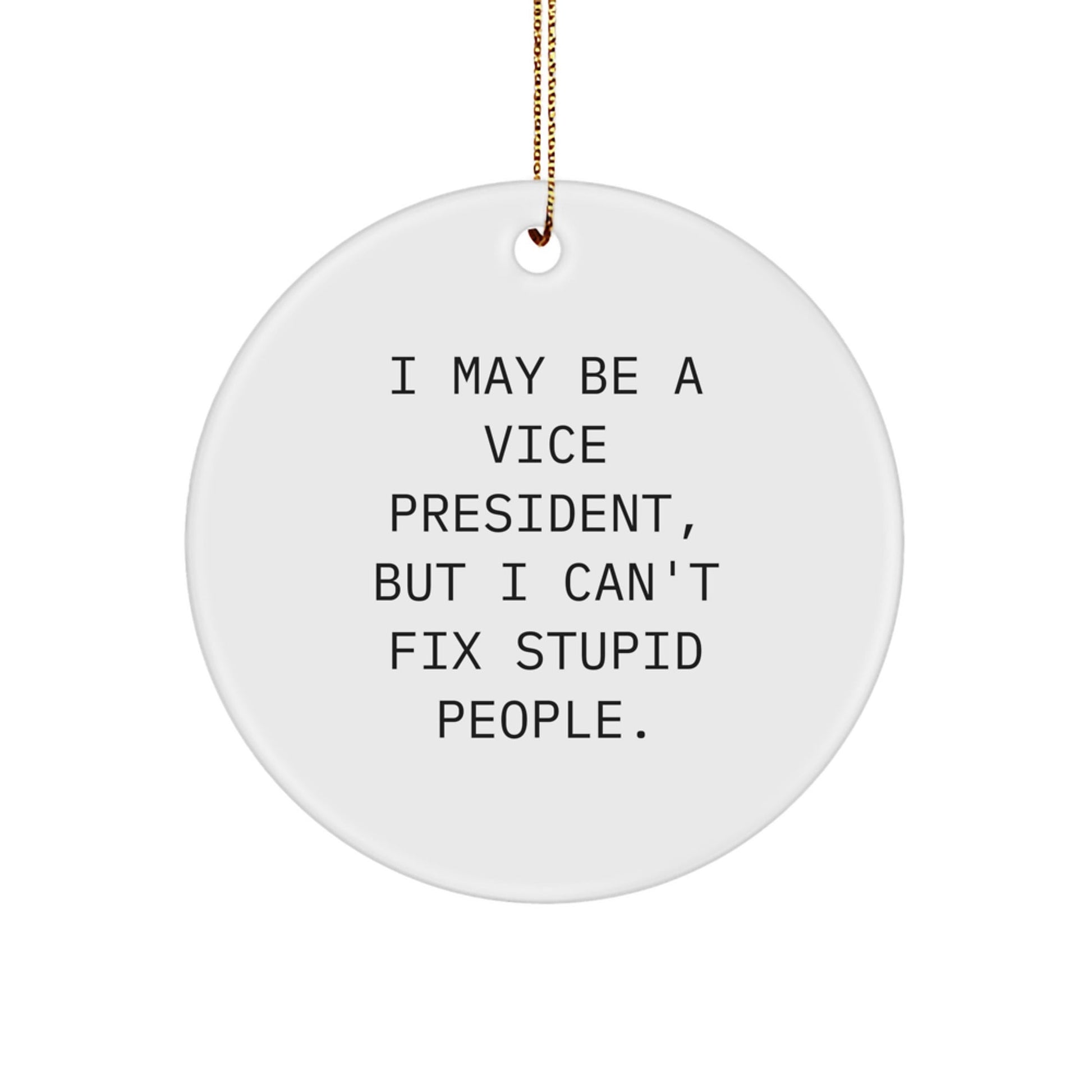 Funny Vice President Gifts from Friends, I May Be A Vice President, But I Can't Fix Stupid People. Christmas Unique Circle Ornaments for Vice President - The Buy Boom