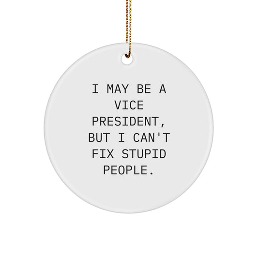 Funny Vice President Gifts from Friends, I May Be A Vice President, But I Can't Fix Stupid People. Christmas Unique Circle Ornaments for Vice President - The Buy Boom