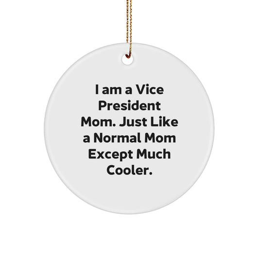 Funny Vice President Mom Gifts, Circle Ornaments for Christmas, Inspirational Quotes, 'I Am A Vice President Mom' Decorative Desk - The Buy Boom