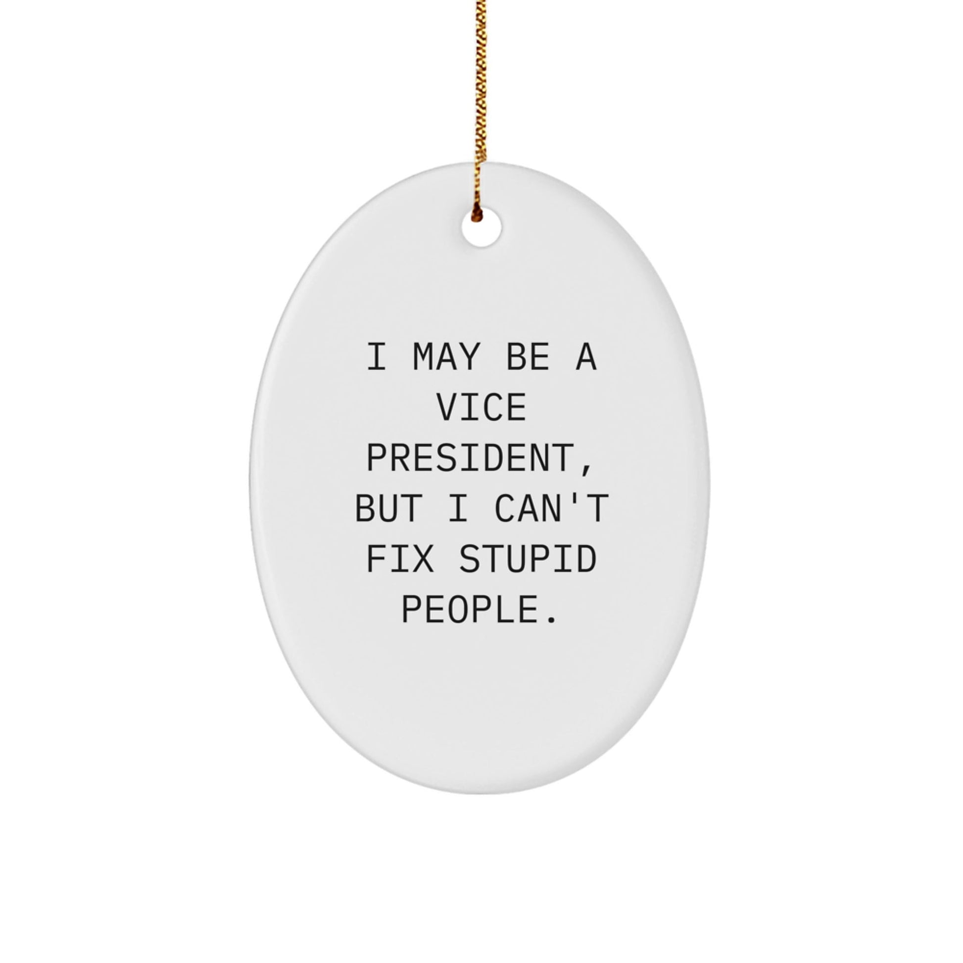 Funny Vice President Oval Ornament Gifts from Friends for Men Vice President - I May Be A Vice President, But I Can't Fix Stupid People. - Christmas Unique Gifts - The Buy Boom