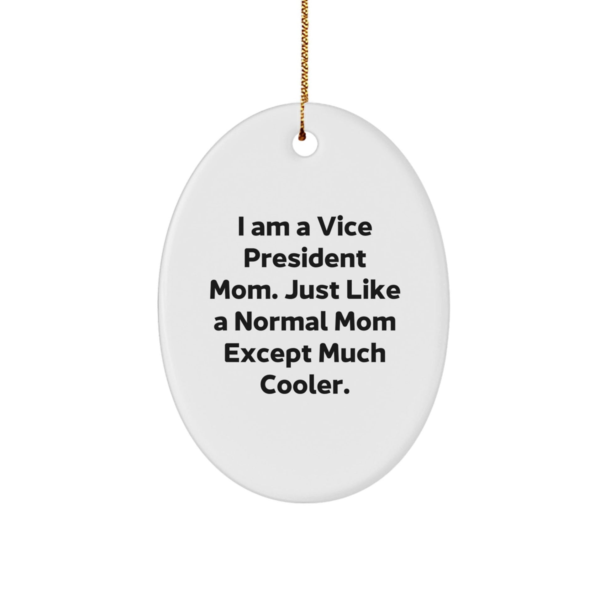 Funny Vice President Oval Ornament Gifts from Mom to Vice President Men - The Buy Boom