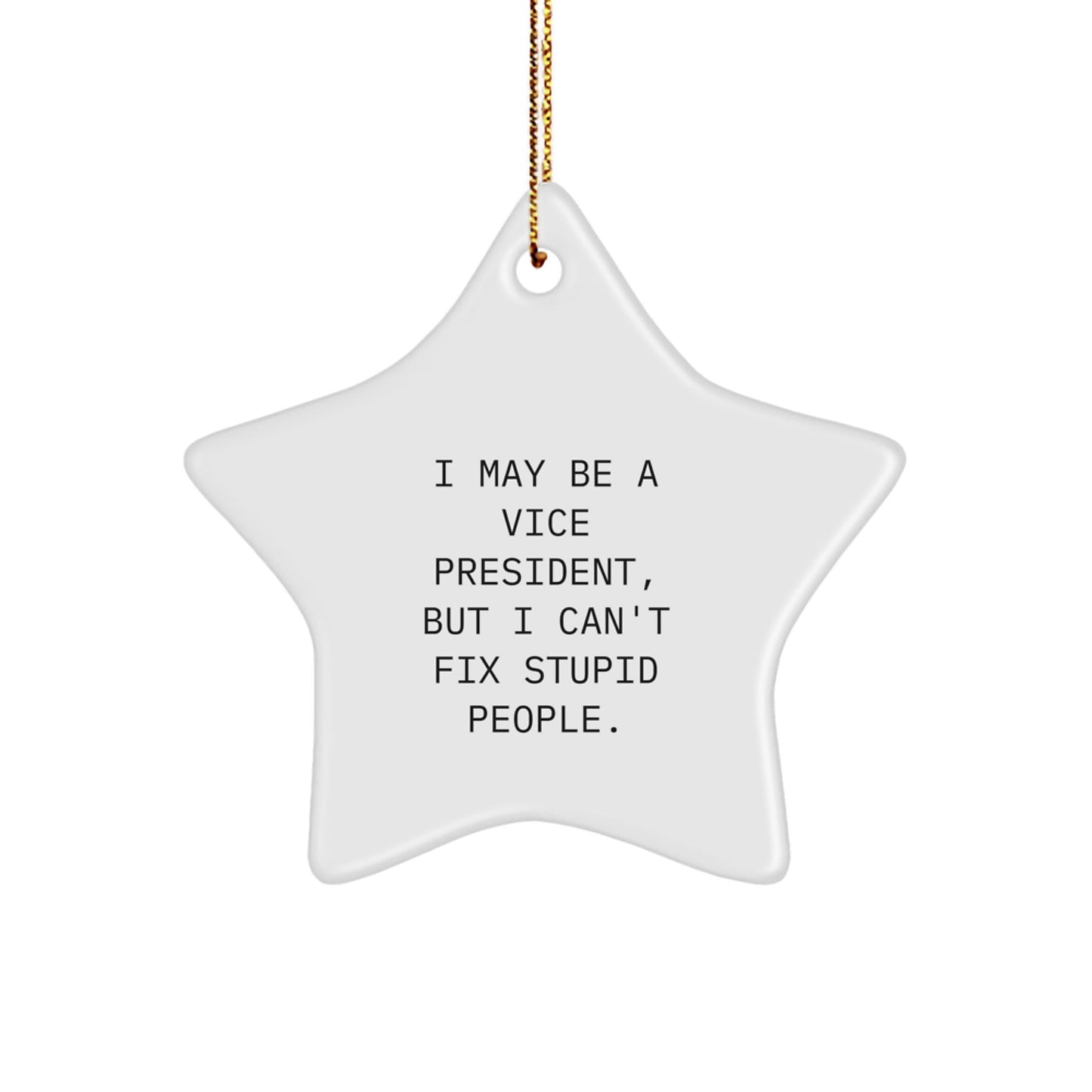 Funny Vice President Star Ornament for Christmas Unique Gifts from Friends, Coworkers, Family - I May Be A Vice President, But I Can't Fix Stupid People. Decorations - The Buy Boom