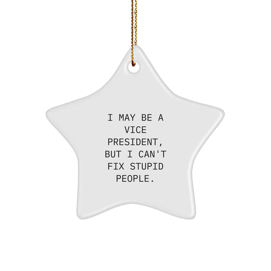 Funny Vice President Star Ornament for Christmas Unique Gifts from Friends, Coworkers, Family - I May Be A Vice President, But I Can't Fix Stupid People. Decorations - The Buy Boom