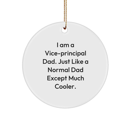 Funny Vice - principal Dad Gifts, Unique Circle Ornaments, Christmas Decorations for Vice - principal, Gifts from Dad, for Vice - principal Men - The Buy Boom