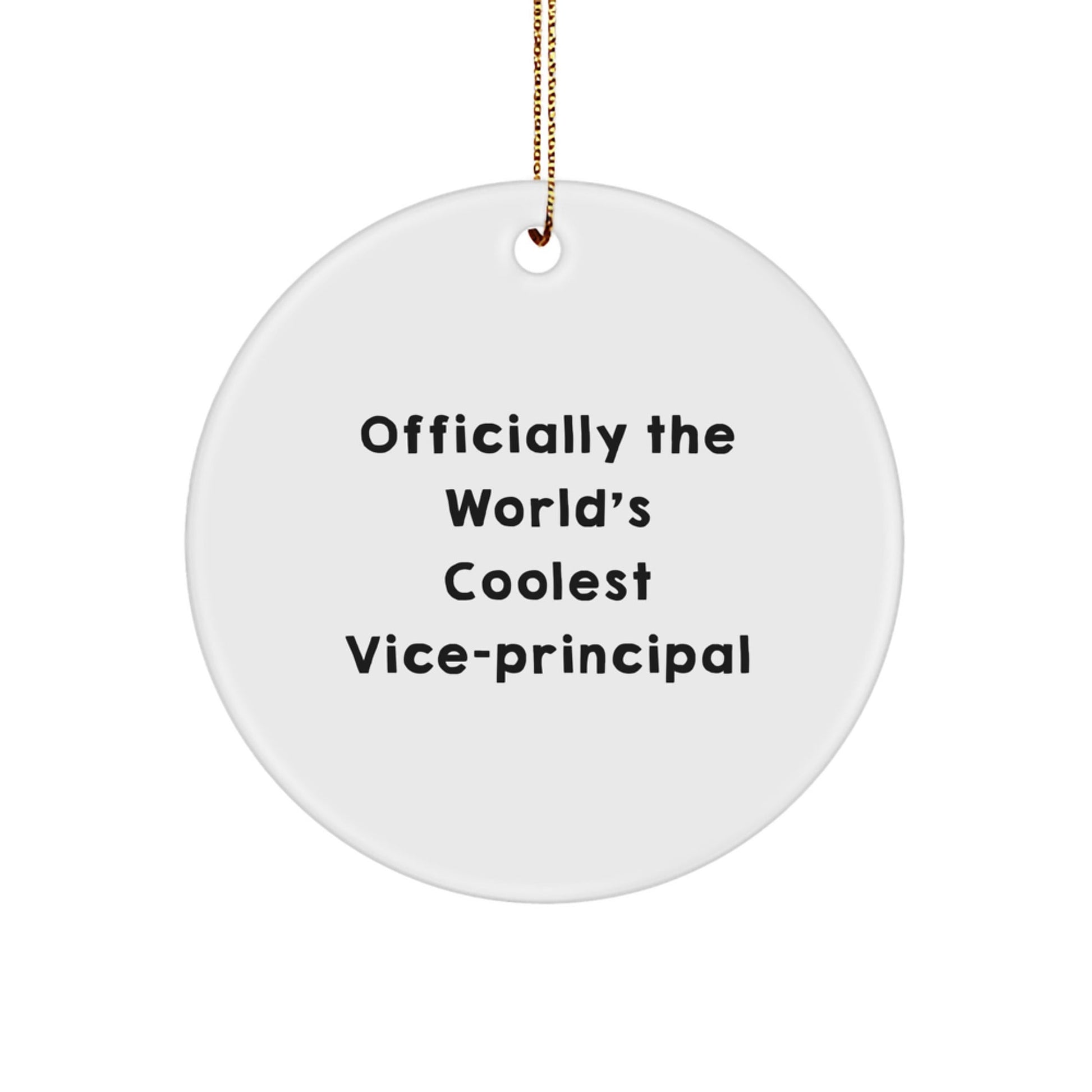 Funny Vice - principal Gifts for Men Circle Ornament Christmas Unique Present from Friends to Family Officially The World's Coolest Vice - principal - The Buy Boom