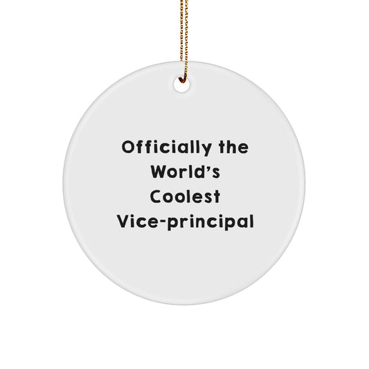 Funny Vice - principal Gifts for Men Circle Ornament Christmas Unique Present from Friends to Family Officially The World's Coolest Vice - principal - The Buy Boom