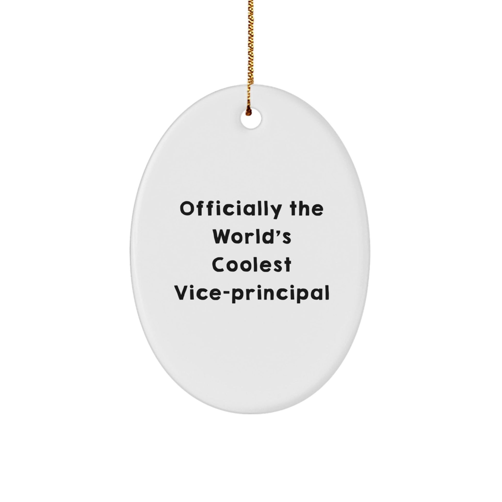 Funny Vice - principal Gifts for Women, Officially The World's Coolest Vice - principal Oval Ornament, Christmas Unique Items - The Buy Boom