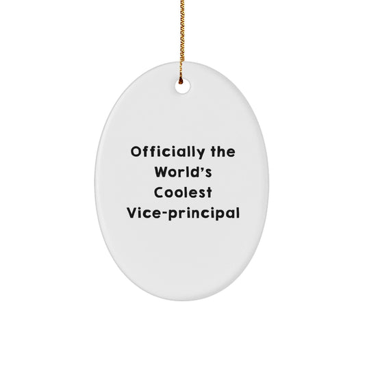 Funny Vice - principal Gifts for Women, Officially The World's Coolest Vice - principal Oval Ornament, Christmas Unique Items - The Buy Boom