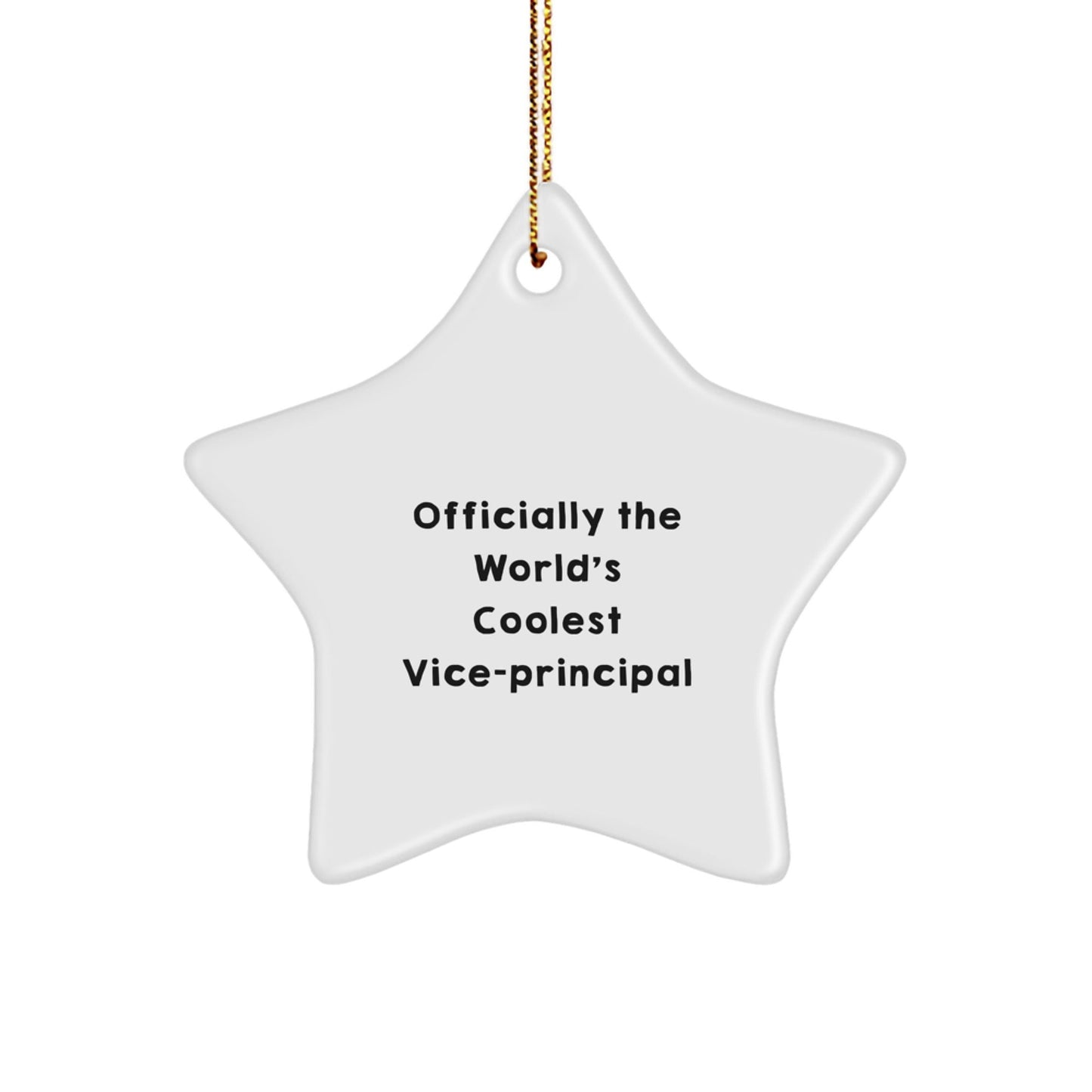 Funny Vice - principal Gifts from Men, 'Officially The World's Coolest Vice - principal' Star Ornament for Christmas Unique Gifts - The Buy Boom