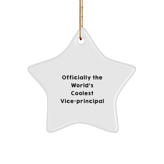 Funny Vice - principal Gifts from Men, 'Officially The World's Coolest Vice - principal' Star Ornament for Christmas Unique Gifts - The Buy Boom