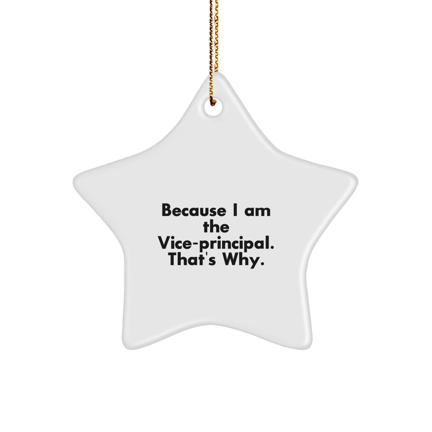 Funny Vice - principal Gifts from Men to Vice - principal - Star Ornament because I am the Vice - principal That's Why, Christmas Unique Gifts - The Buy Boom