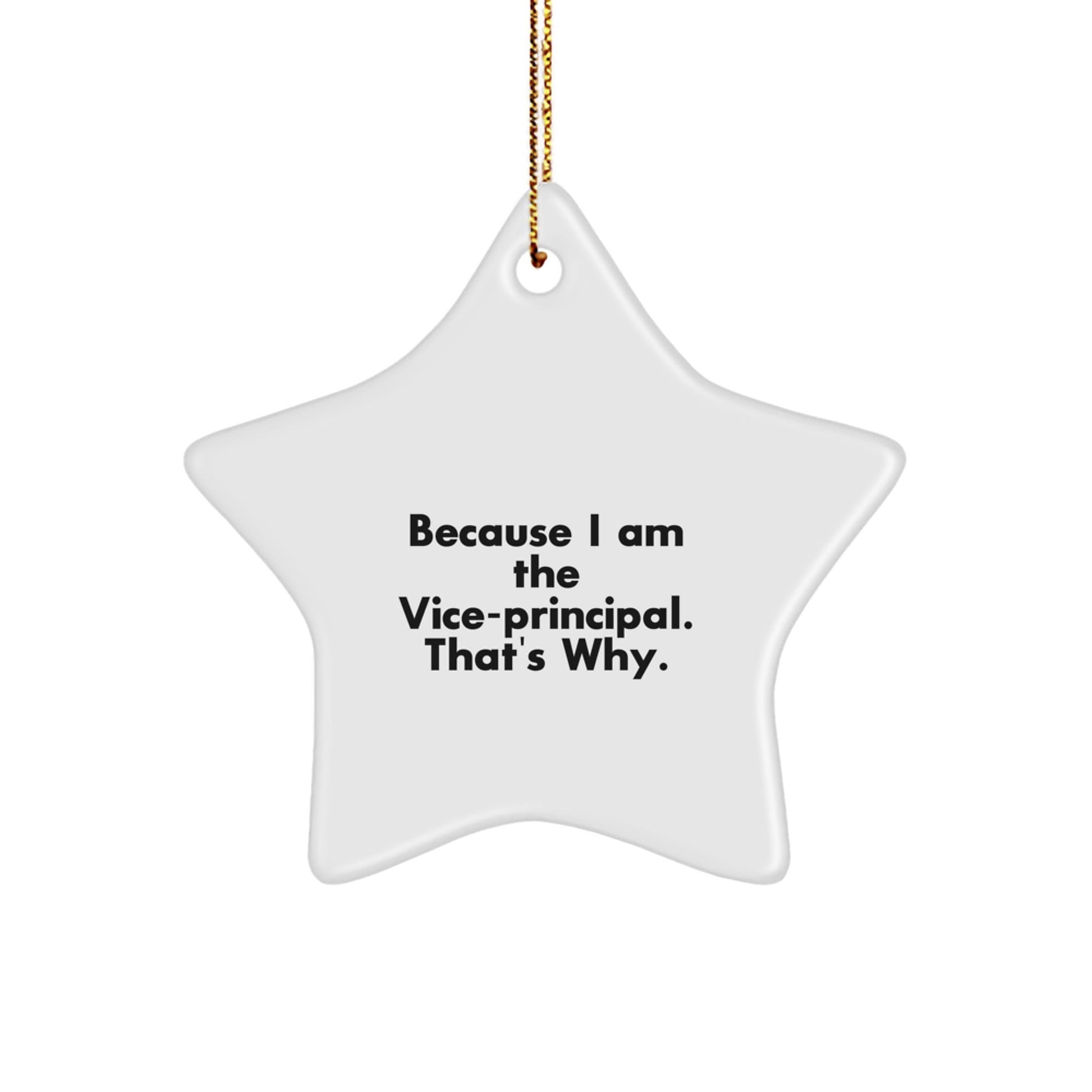 Funny Vice - principal Gifts from Men to Vice - principal - Star Ornament because I am the Vice - principal That's Why, Christmas Unique Gifts - The Buy Boom