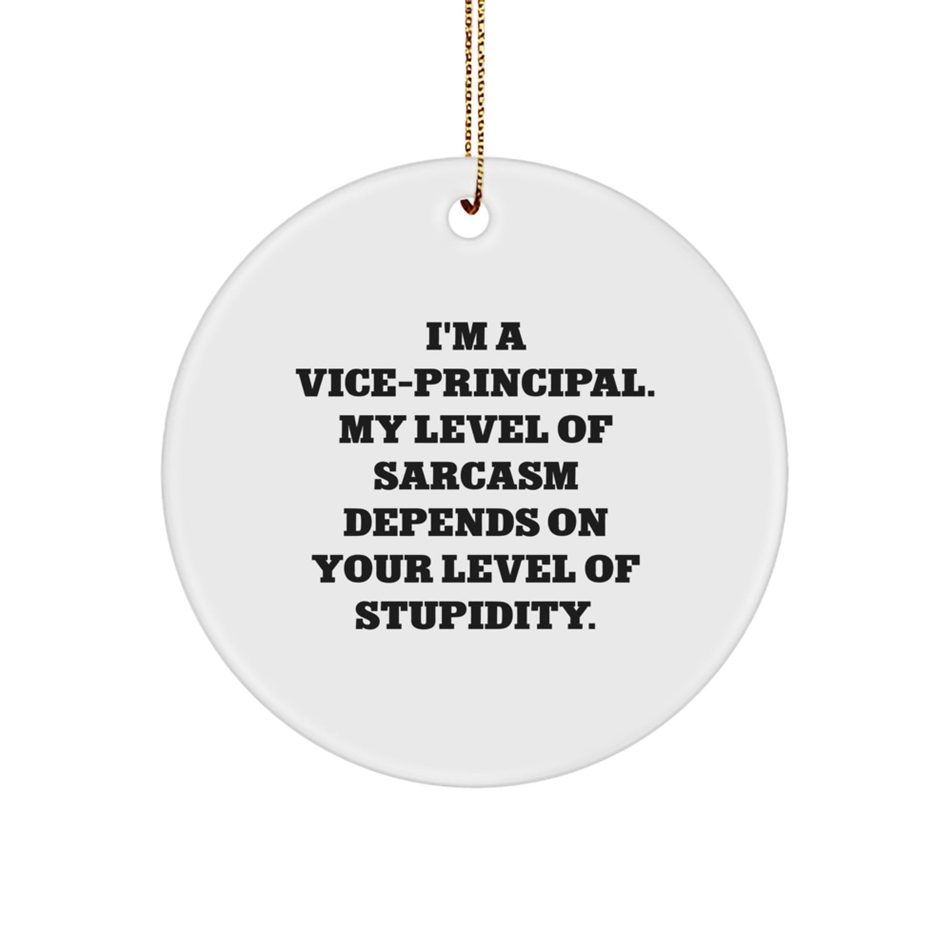 Funny Vice - Principal Gifts, 'I'm A Vice - Principal. My Level Of Sarcasm Depends On Your Level Of Stupidity.' Circle Ornament, Christmas Unique Gifts from Friends to Vice - Principals - The Buy Boom