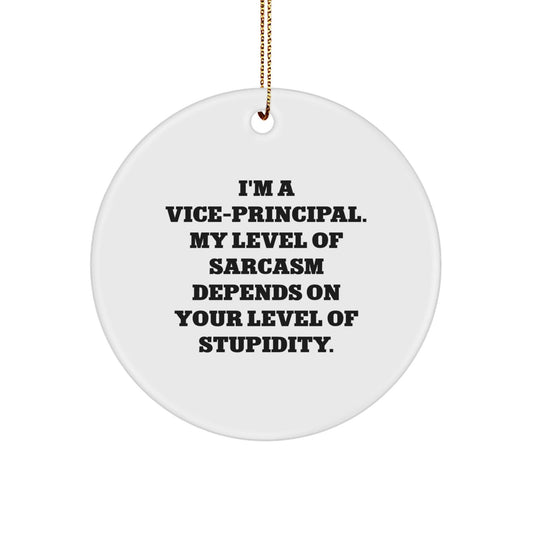 Funny Vice - Principal Gifts, 'I'm A Vice - Principal. My Level Of Sarcasm Depends On Your Level Of Stupidity.' Circle Ornament, Christmas Unique Gifts from Friends to Vice - Principals - The Buy Boom