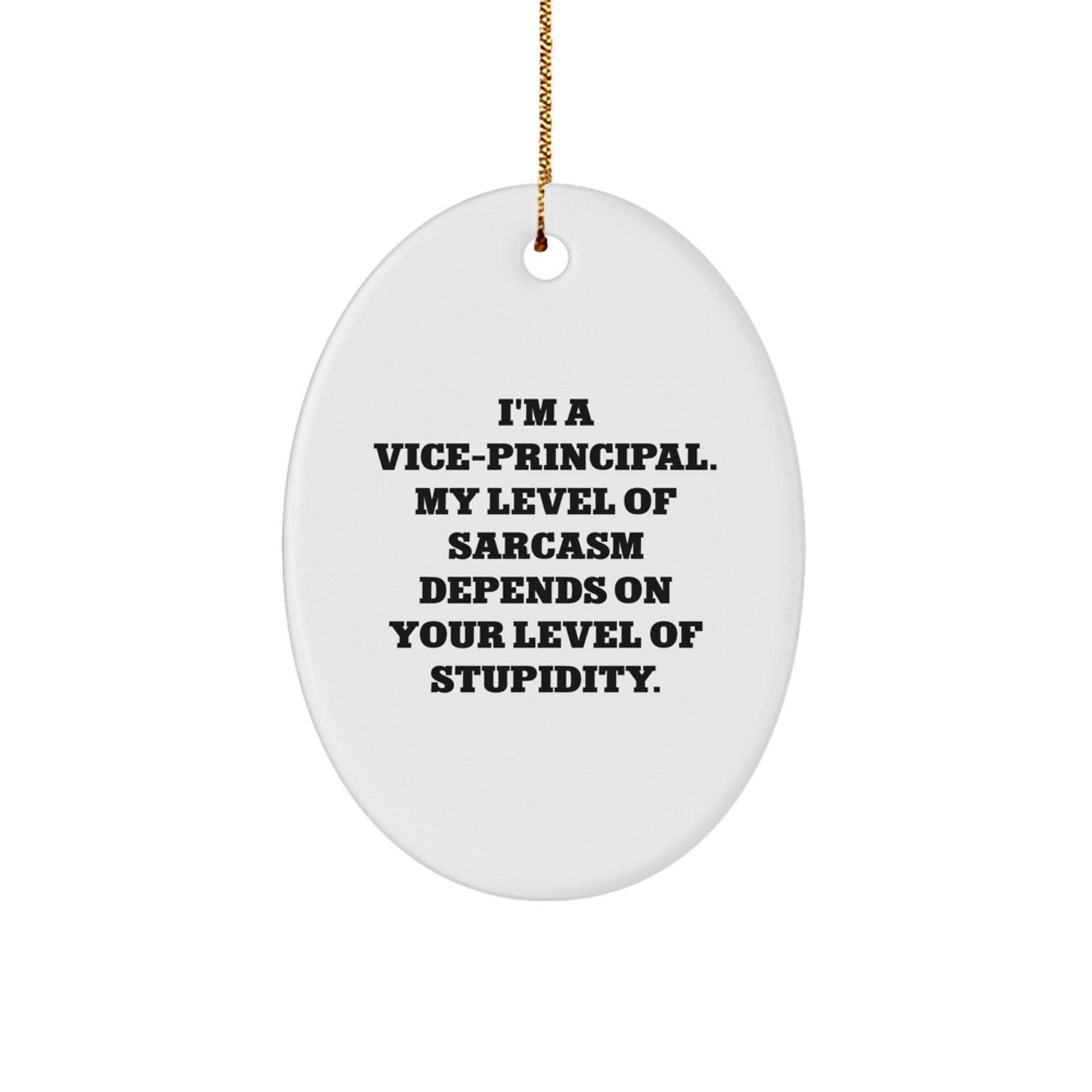 Funny Vice - Principal Gifts, 'I'm A Vice - principal. My Level Of Sarcasm Depends On Your Level Of Stupidity.' Oval Ornament, Christmas Unique Gifts from Friends - The Buy Boom