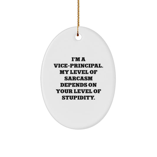 Funny Vice - Principal Gifts, 'I'm A Vice - principal. My Level Of Sarcasm Depends On Your Level Of Stupidity.' Oval Ornament, Christmas Unique Gifts from Friends - The Buy Boom