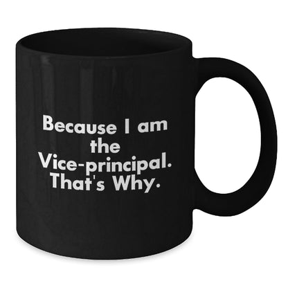 Funny Vice - principal Mug for Christmas Unique Gifts from Friends to Vice - principal - The Buy Boom