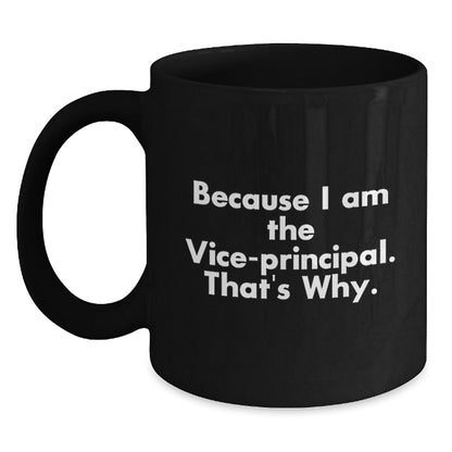 Funny Vice - principal Mug for Christmas Unique Gifts from Friends to Vice - principal - The Buy Boom
