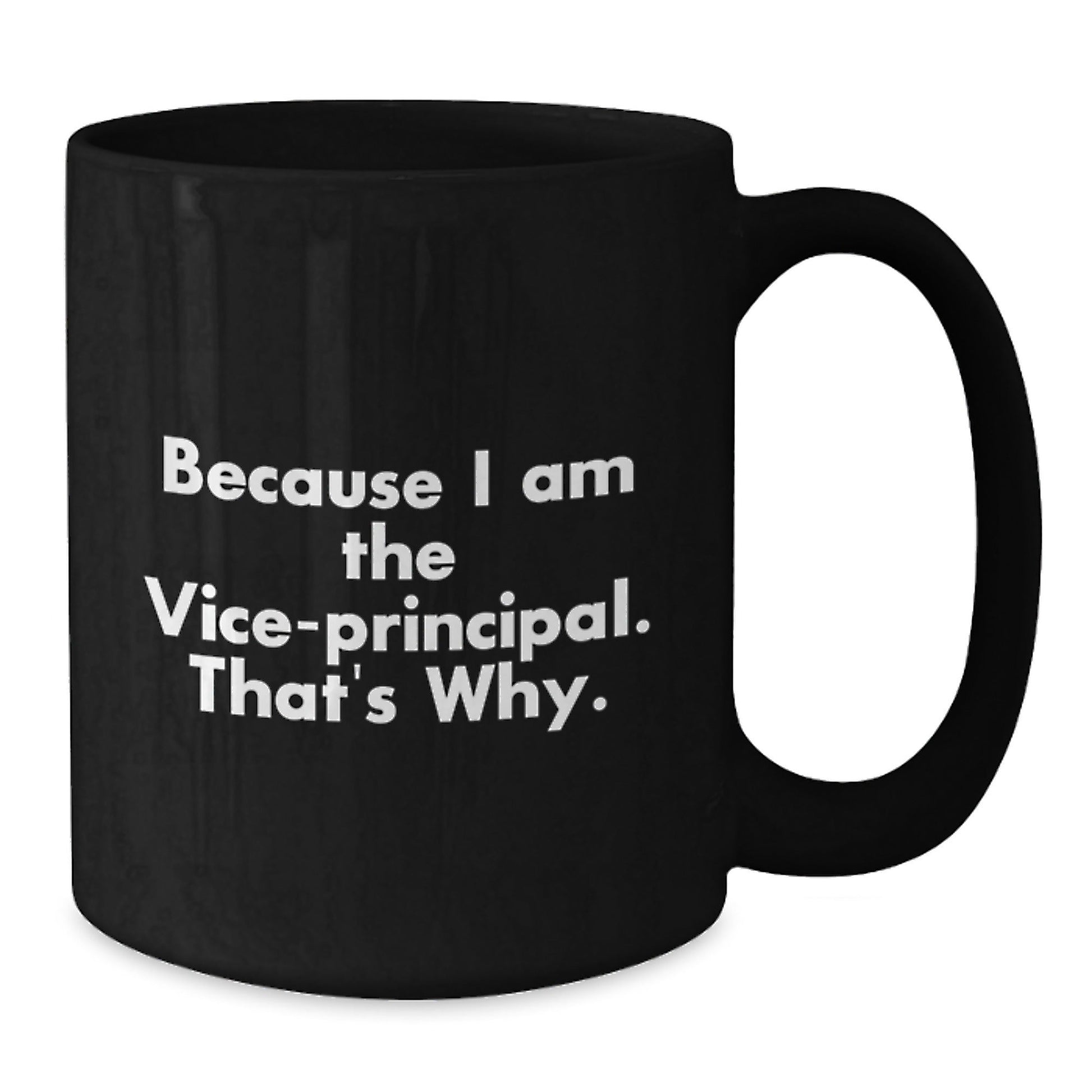 Funny Vice - principal Mug for Christmas Unique Gifts from Friends to Vice - principal - The Buy Boom