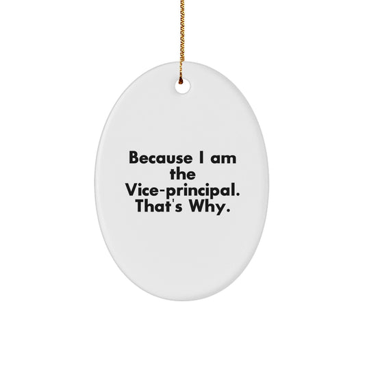 Funny Vice - principal Oval Ornament Gifts from Friends, Gifts for Vice - principal Men, Vice - principal Unique Christmas Unique Gifts - The Buy Boom
