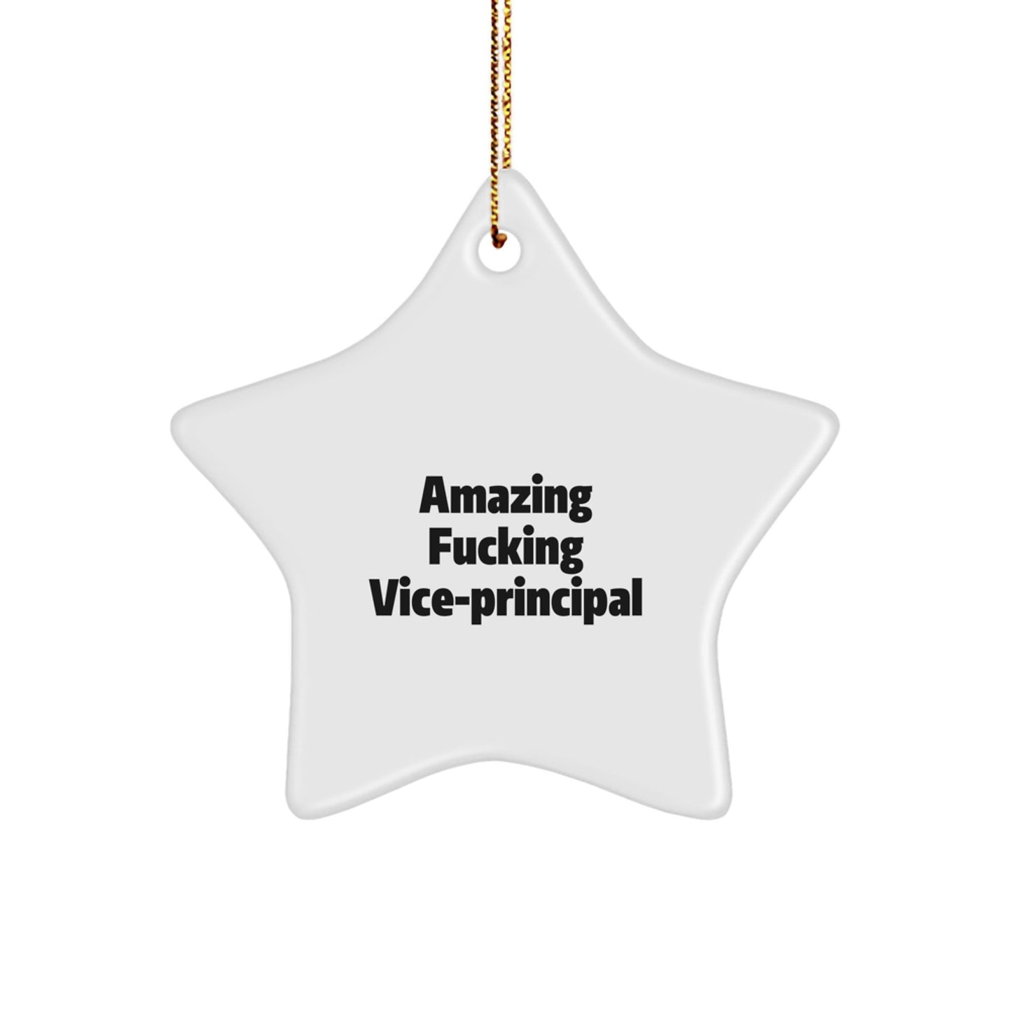 Funny Vice - principal Star Ornament Gifts from Friends, Christmas Unique Gifts for Vice - principal, Amazing Quotes - The Buy Boom