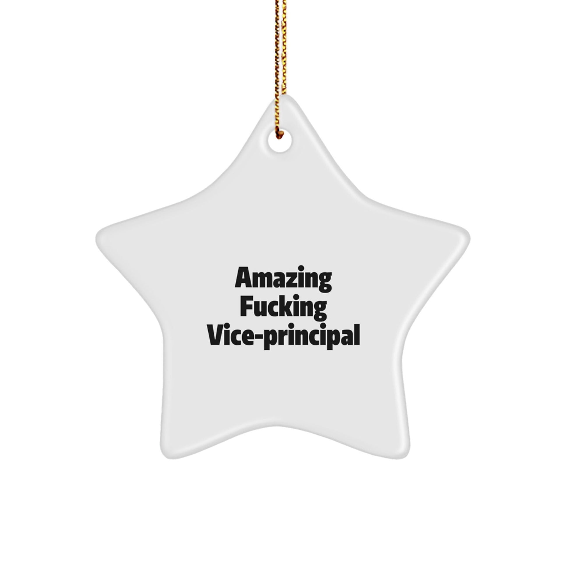 Funny Vice - principal Star Ornament Gifts from Friends, Christmas Unique Gifts for Vice - principal, Amazing Quotes - The Buy Boom