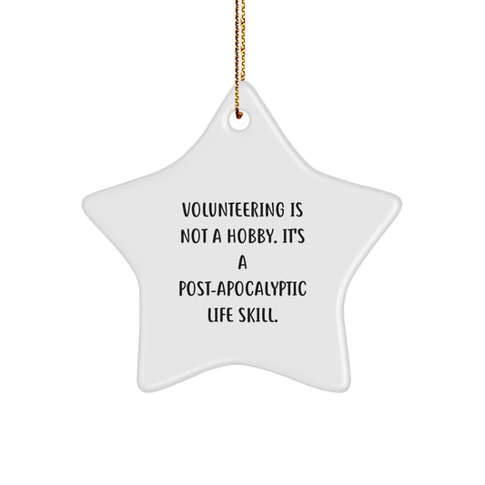 Funny Volunteering Star Ornament Gifts for Volunteers from Friends, Unique Christmas Decorations with Inspirational Quote - The Buy Boom