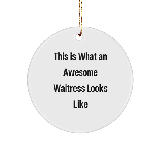 Funny Waitress Gifts from Friends, Circle Ornament with Inspirational Quote, Ideal Gifts for Awesome Waitress Women at Christmas, Unique Circle Ornament Decorations - The Buy Boom