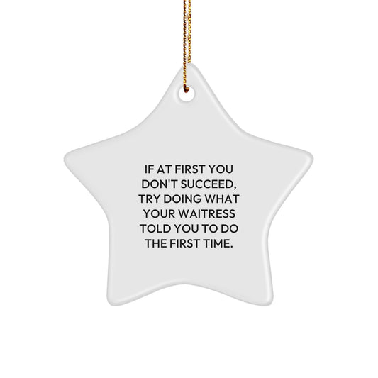 Funny Waitress Gifts from Men to Waitress, Inspirational Star Ornament, Christmas Unique Gifts, If At First You Don't Succeed, Try Doing What Your Waitress Told You To Do The First Time. - The Buy Boom