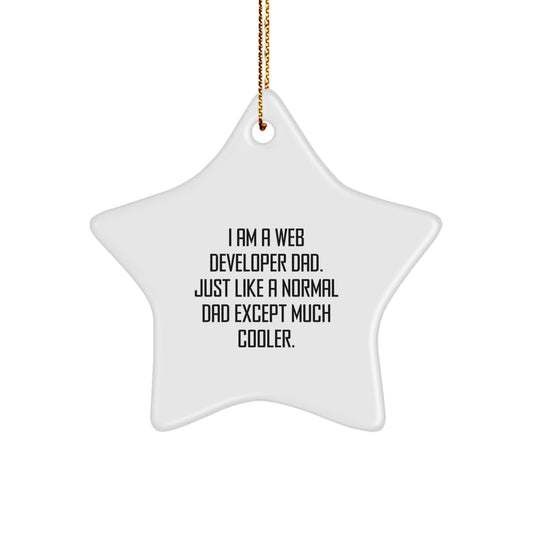Funny Web Developer Dad Gifts, Star Ornament for Men, Gifts from Dad to Web Developer, I Am A Web Developer Dad, Christmas Unique Presents - The Buy Boom