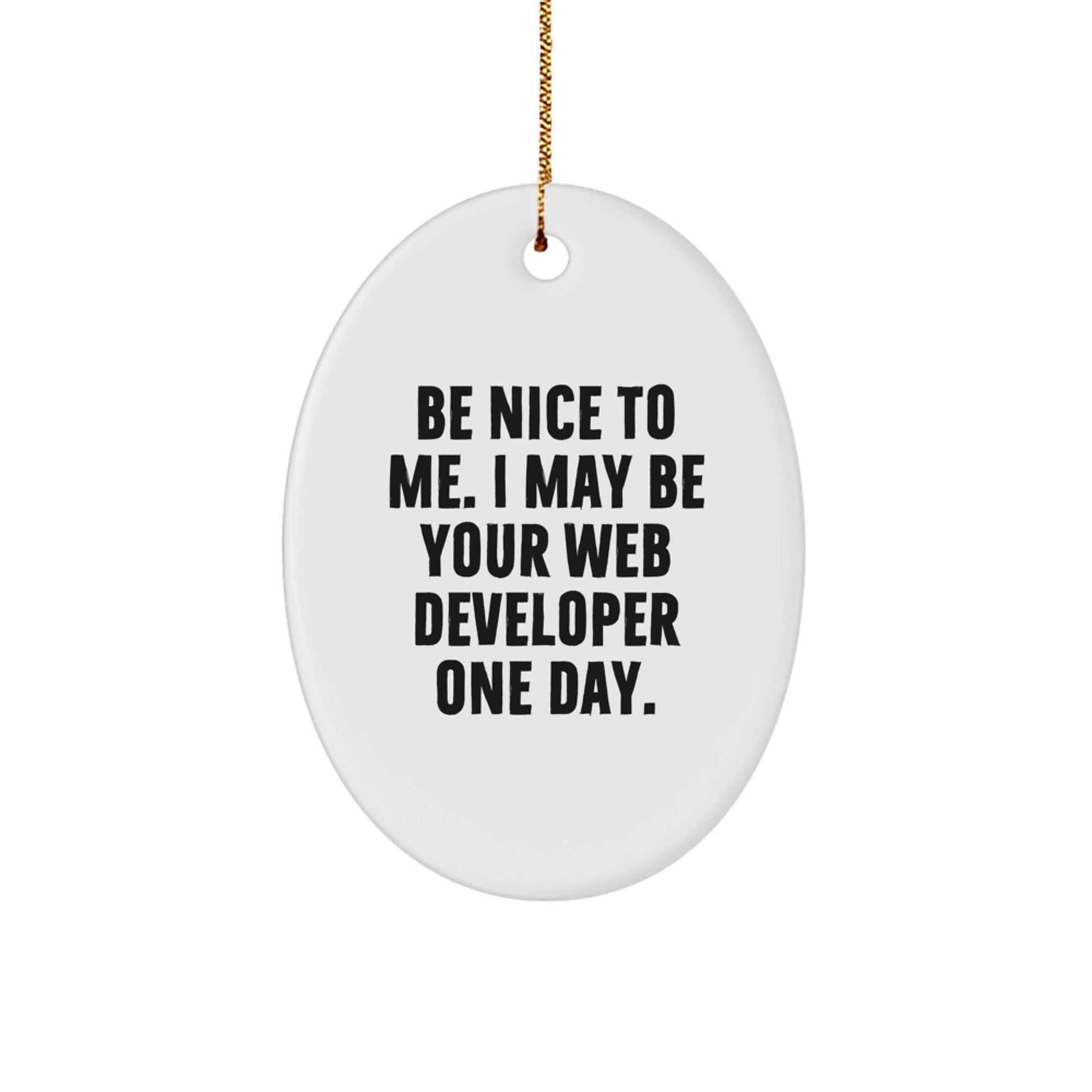 Funny Web Developer Gifts, Be Nice to Me Oval Ornament, Gifts from Friends, for Men, Christmas Unique Presents - The Buy Boom