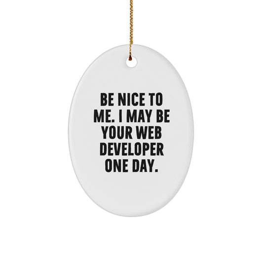 Funny Web Developer Gifts, Be Nice to Me Oval Ornament, Gifts from Friends, for Men, Christmas Unique Presents - The Buy Boom