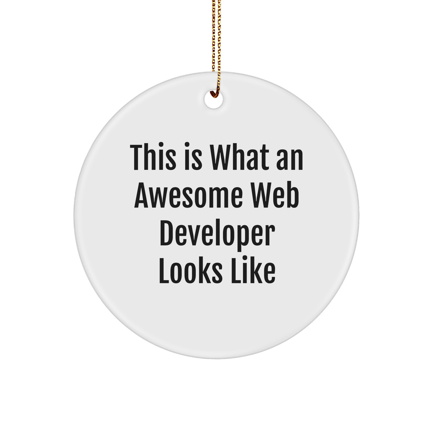 Funny Web Developer Gifts from Family - Christmas Unique Circle Ornament for Web Developer, 'This Is What An Awesome Web Developer Looks Like' Quote, Gifts for Men, Friends, Coworkers - The Buy Boom