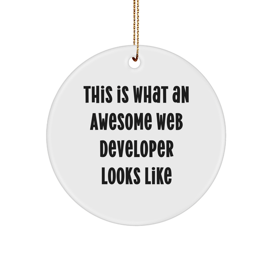Funny Web Developer Gifts from Friends Circle Ornament This Is What An Awesome Web Developer Looks Like Christmas Unique Presents for Men Women Family Coworkers - The Buy Boom