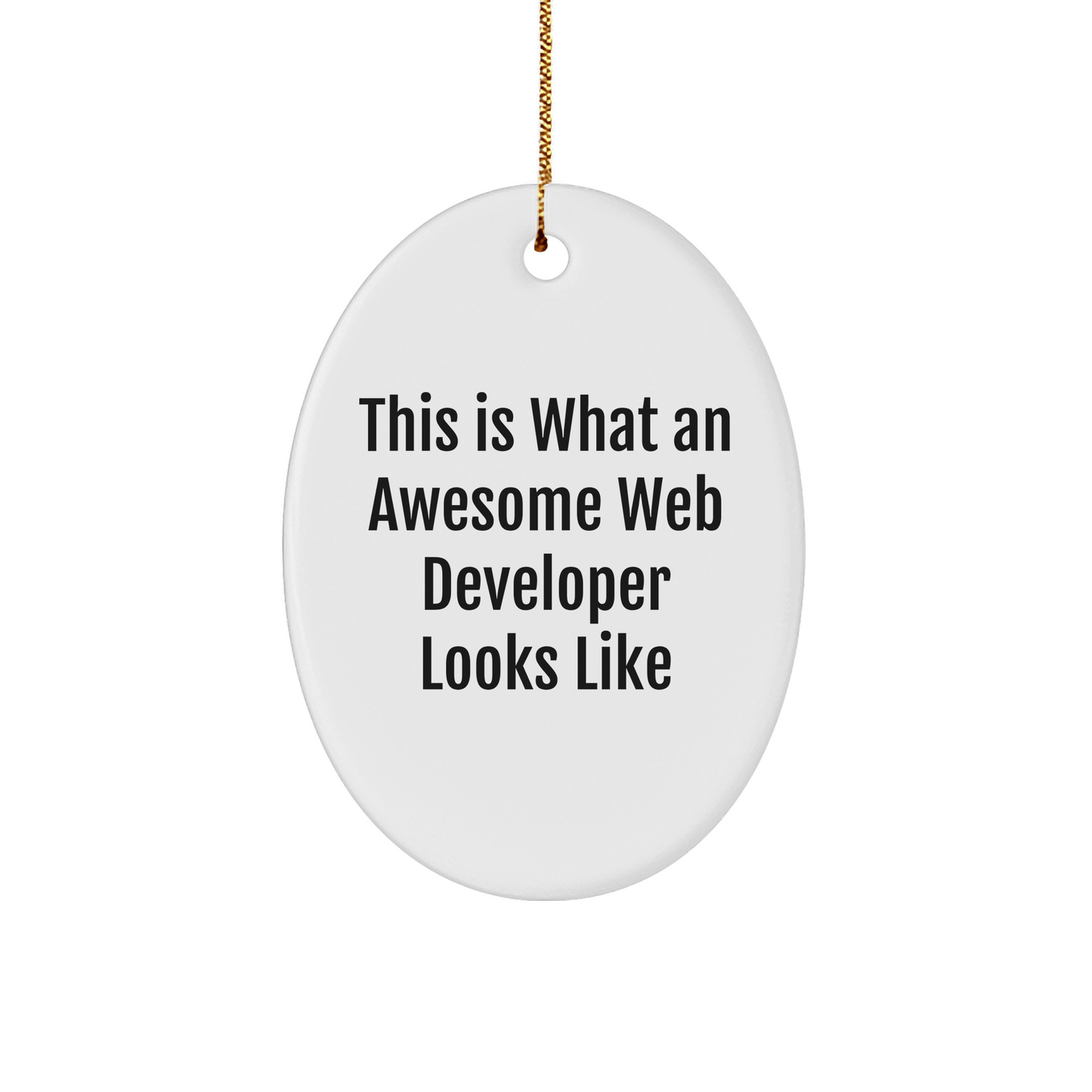 Funny Web Developer Gifts from Friends for Christmas - Oval Ornament with 'This Is What An Awesome Web Developer Looks Like' Quote - The Buy Boom