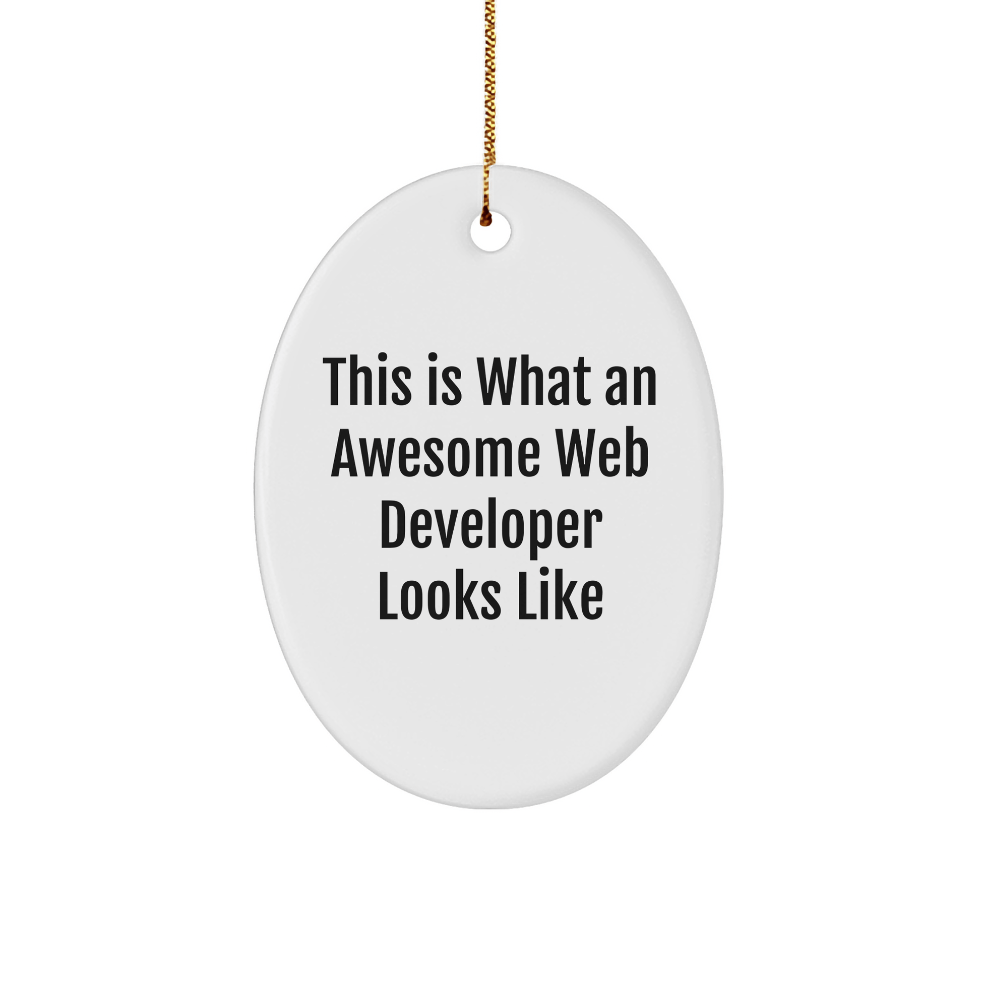 Funny Web Developer Gifts from Friends for Christmas - Oval Ornament with 'This Is What An Awesome Web Developer Looks Like' Quote - The Buy Boom