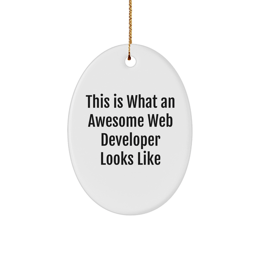 Funny Web Developer Gifts from Friends for Christmas - Oval Ornament with 'This Is What An Awesome Web Developer Looks Like' Quote - The Buy Boom