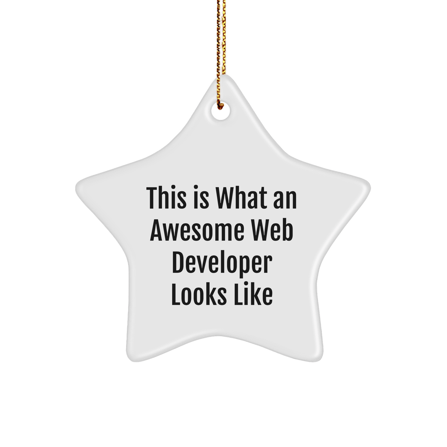 Funny Web Developer Gifts from Friends for Christmas - Star Ornament with Quote 'This Is What An Awesome Web Developer Looks Like' for Coworkers or Family - The Buy Boom