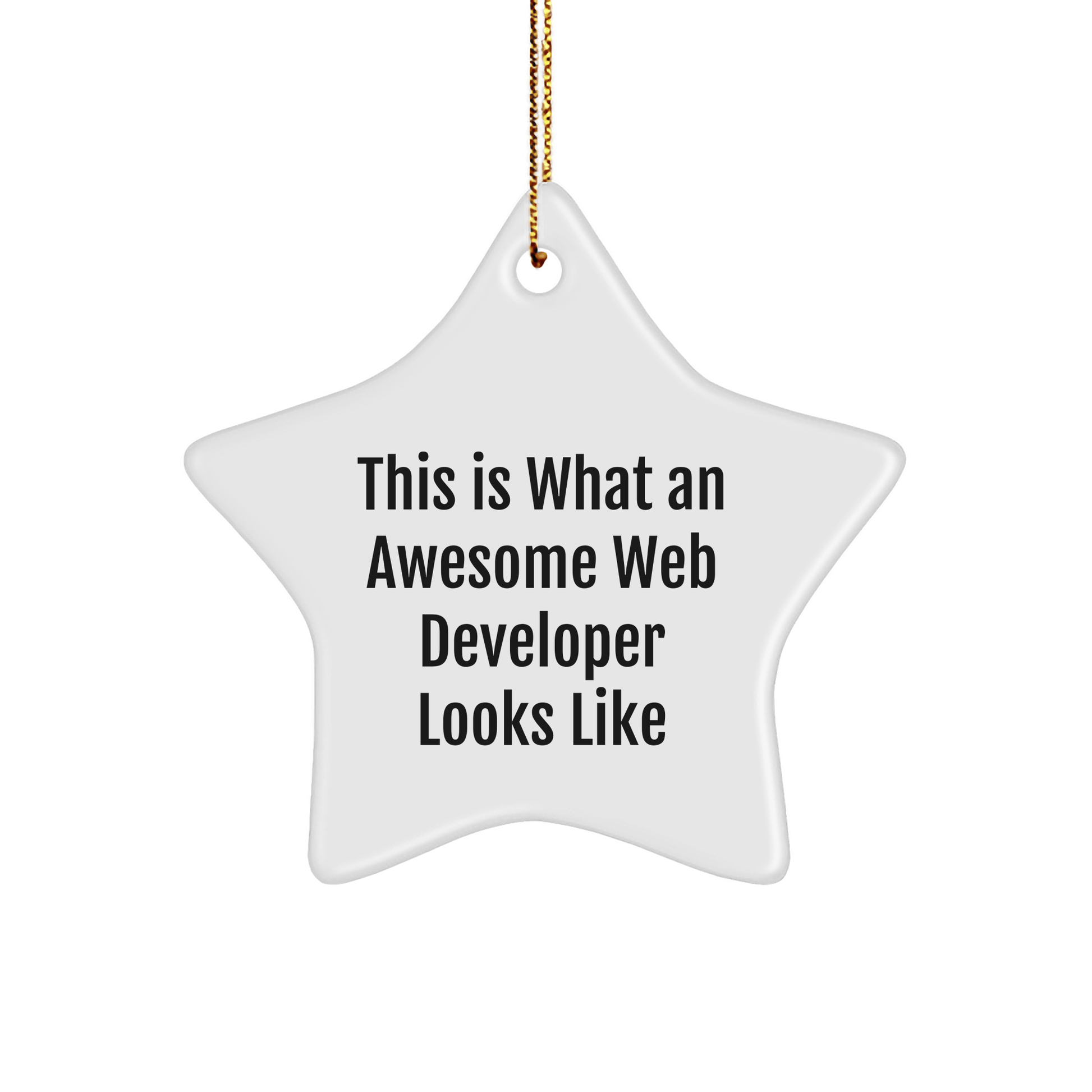 Funny Web Developer Gifts from Friends for Christmas - Star Ornament with Quote 'This Is What An Awesome Web Developer Looks Like' for Coworkers or Family - The Buy Boom