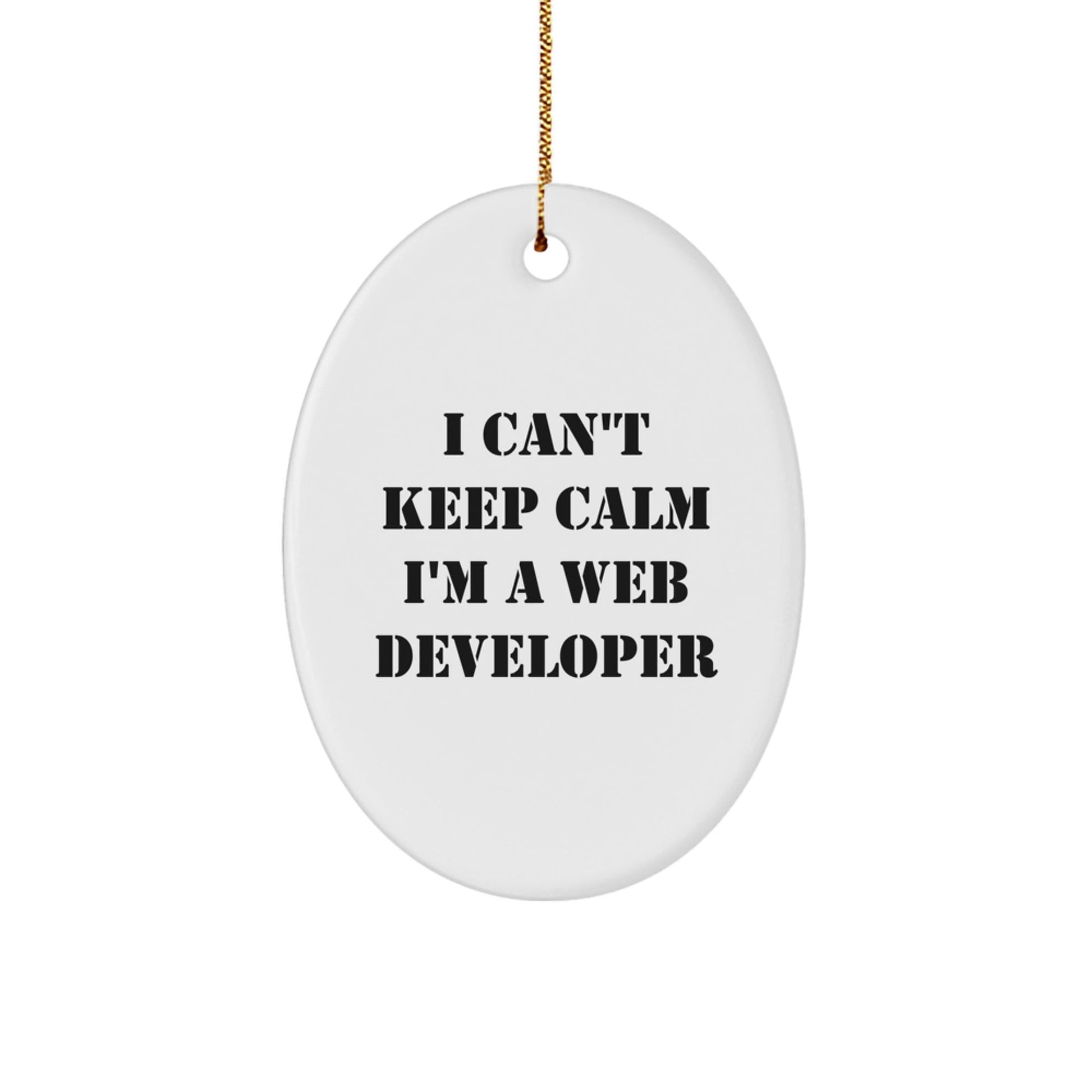Funny Web Developer Gifts from Friends - I Can't Keep Calm Oval Ornament, Christmas Unique Presents for Web Developers, Friends, or Family - The Buy Boom