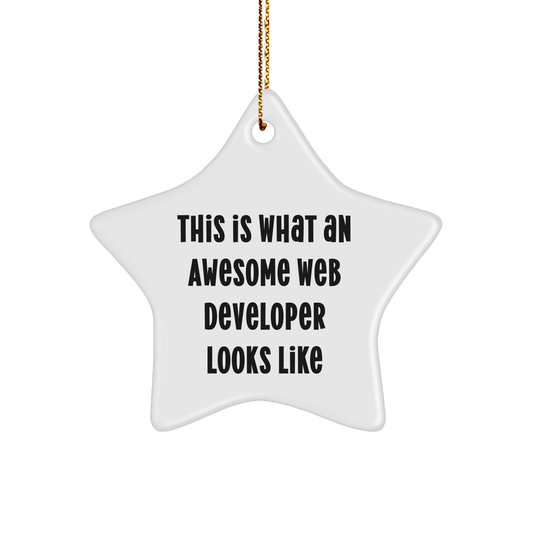 Funny Web Developer Gifts from Friends - This Is What An Awesome Star Ornament Looks Like for Men or Women, Christmas Unique Gifts - The Buy Boom