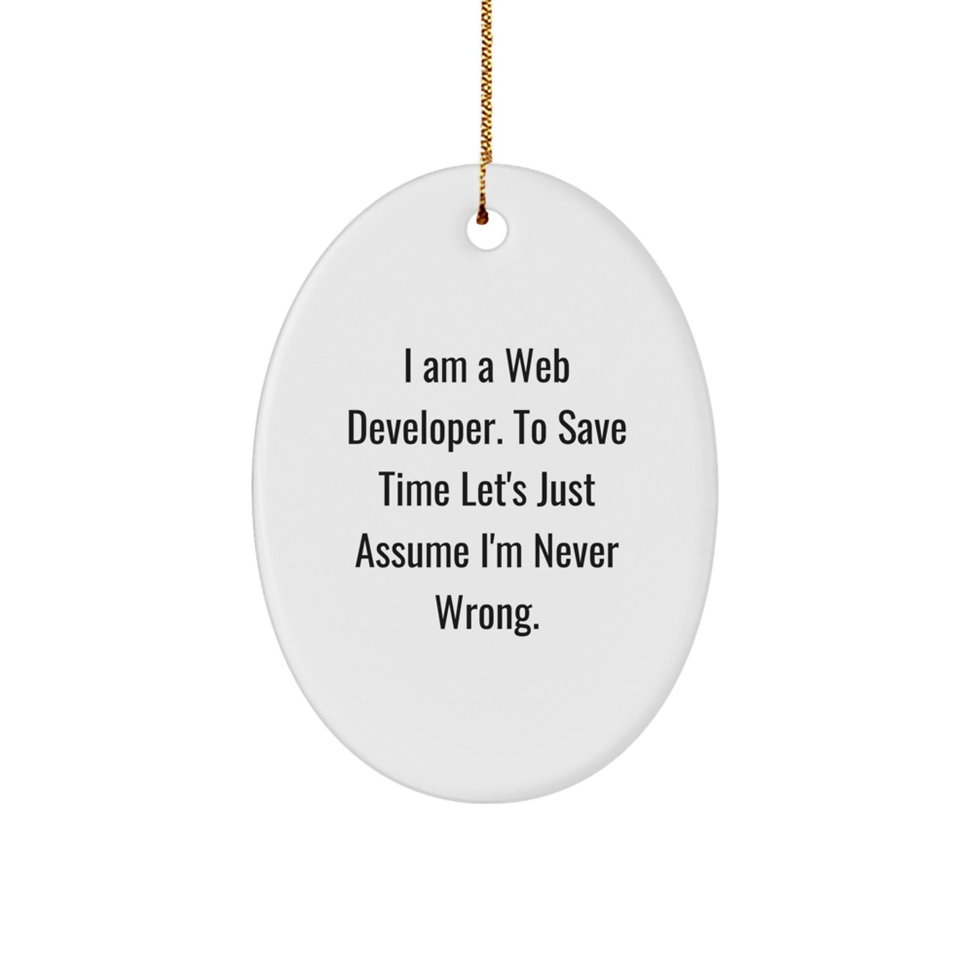 Funny Web Developer Oval Ornament Gifts from Friends for Coworkers, 'I Am A Web Developer. To Save Time Let's Just Assume I'm Never Wrong.' - Unique Christmas Unique Gifts for Office Workers - The Buy Boom