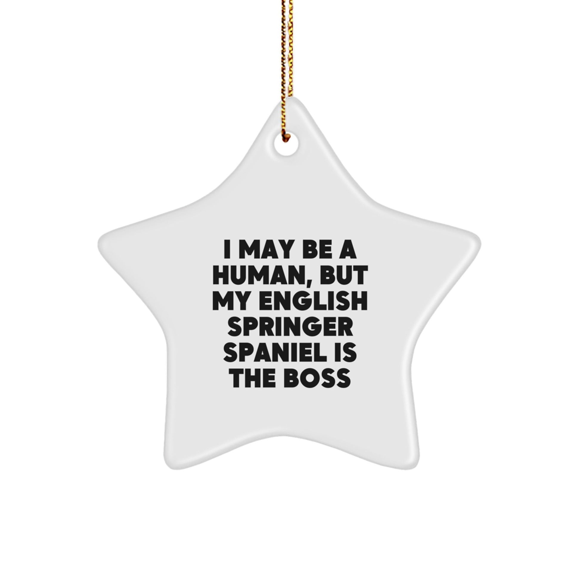 'Furry Boss' English Springer Spaniel Dog Christmas Star Ornament Gifts from Friends and Family, I May Be A Human, But My English Springer Spaniel Is The Boss Quote - The Buy Boom