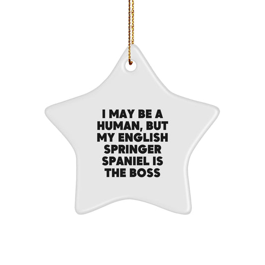 'Furry Boss' English Springer Spaniel Dog Christmas Star Ornament Gifts from Friends and Family, I May Be A Human, But My English Springer Spaniel Is The Boss Quote - The Buy Boom