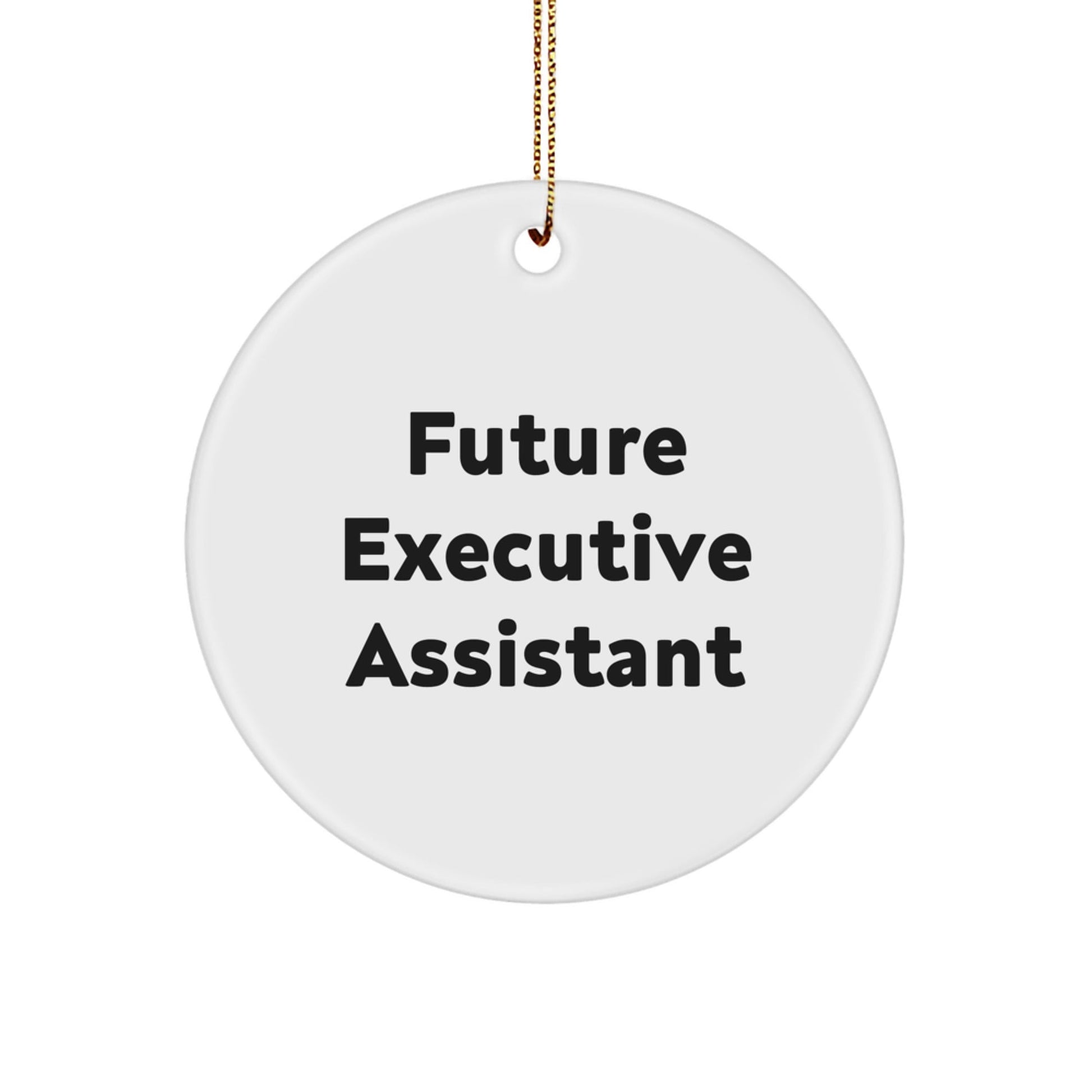 Future Executive Assistant Gifts from Friends, Inspirational Christmas Circle Ornament for Men, Funny Quote Executive Assistant, Unique Christmas Unique Gifts for Coworkers - The Buy Boom