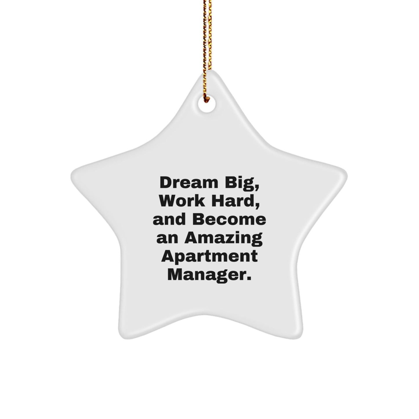 Gifts for Apartment Managers, Funny Inspirational Quotes, Christmas Star Ornaments, Gifts from Friends or Family - The Buy Boom