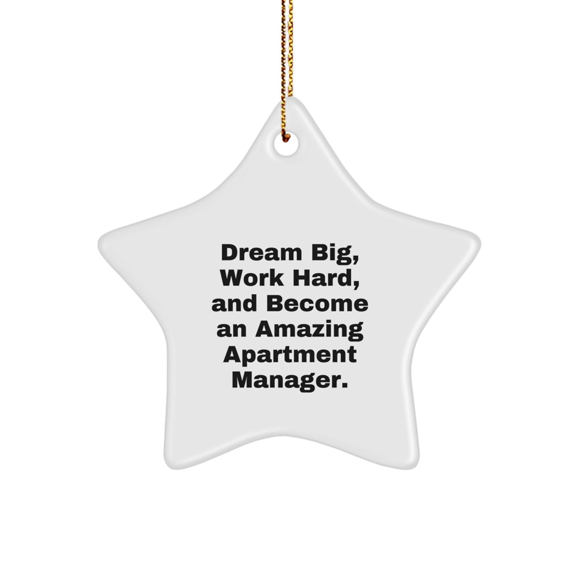 Gifts for Apartment Managers, Funny Inspirational Quotes, Christmas Star Ornaments, Gifts from Friends or Family - The Buy Boom