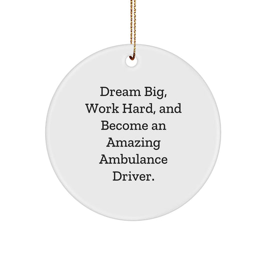 Gifts from Family and Friends for Ambulance Drivers - Dream Big Work Hard Circle Ornament, Ambulance Driver Christmas Unique Gifts - The Buy Boom