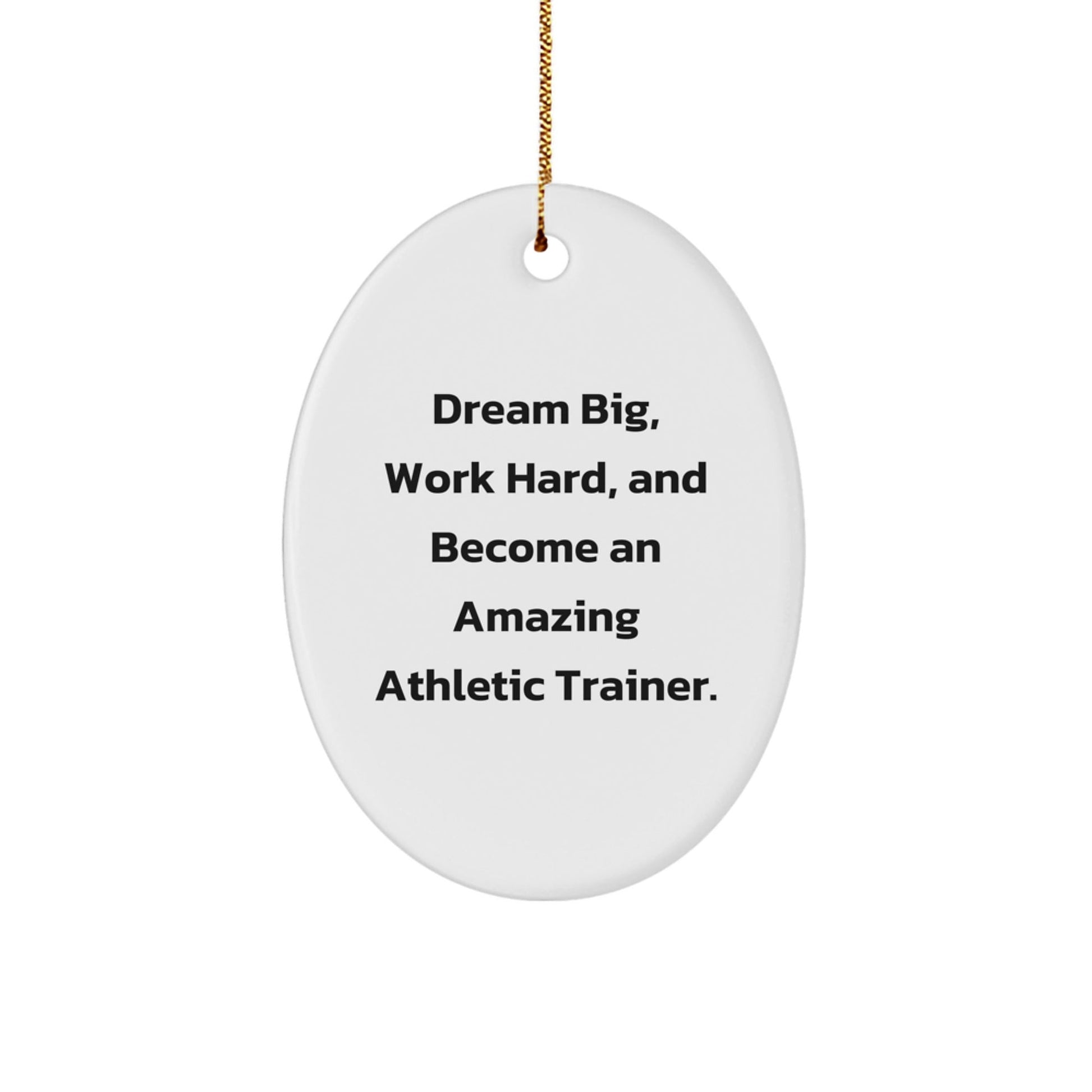 Gifts from Family for Amazing Athletic Trainer Oval Ornament Dream Big, Work Hard, Inspirational Christmas Unique - The Buy Boom