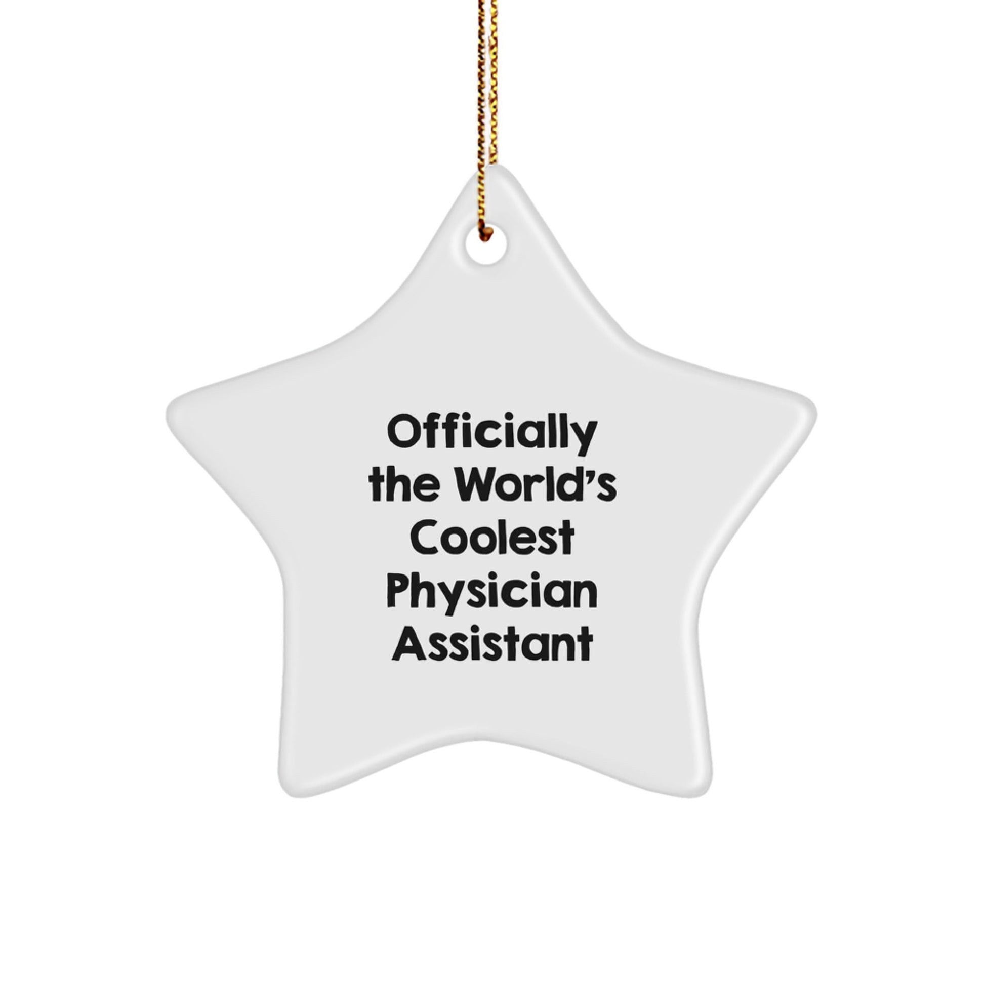 Gifts from Family for the World's Coolest Physician Assistant - Christmas Star Ornament, Physician Assistant Gifts, Funny Quote - The Buy Boom